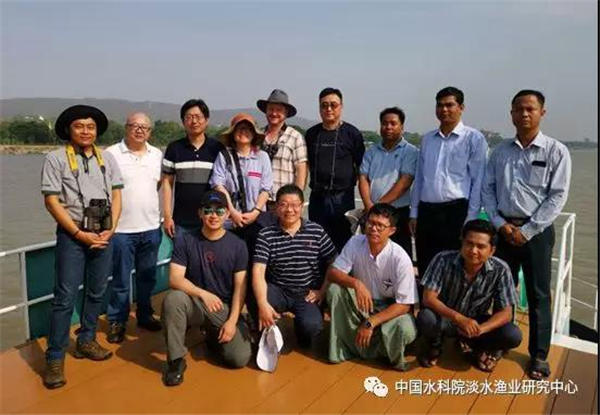 淡水中心参加缅甸伊洛瓦底江伊河海豚调研考察