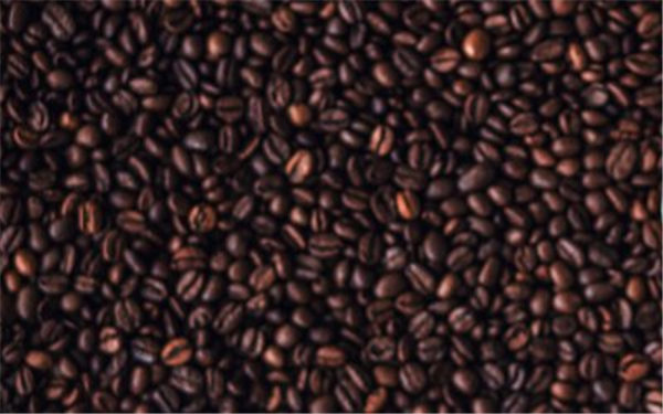 缅甸今年咖啡出口量预计逾200吨