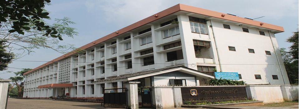 缅甸师范学院都提升为四年制学院了