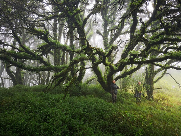 东南亚中心顺利完成缅甸西部热带山区生物多样性阶段性科考