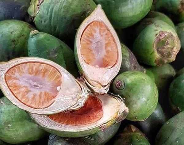 缅甸槟榔出口在世界各国中位居第二