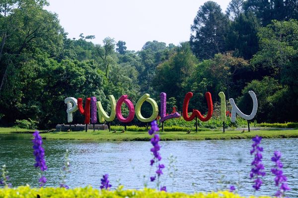 战争阴云严重影响了彬乌伦地区的旅游业