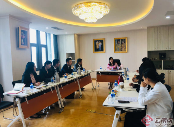 湄公学院青年学者代表团在滇访问收获多