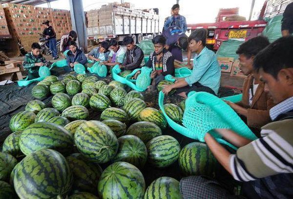 缅中边境贸易区西瓜目前供大于求