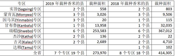 缅甸实皆省今年雨季博山香米种植面积仅为27万英亩
