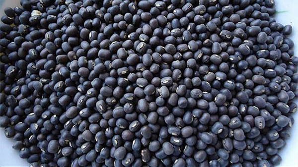 缅甸欲向印度出口黑麦豆40万吨印方至今未回复