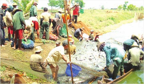 缅甸水产业目前发展状况