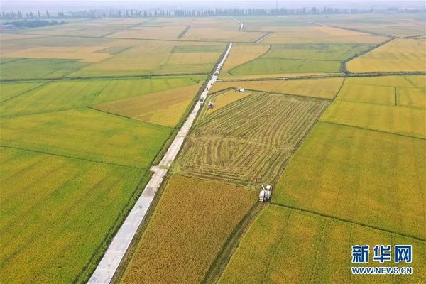 胡利奥·里奥斯：中国崛起对全球影响巨大