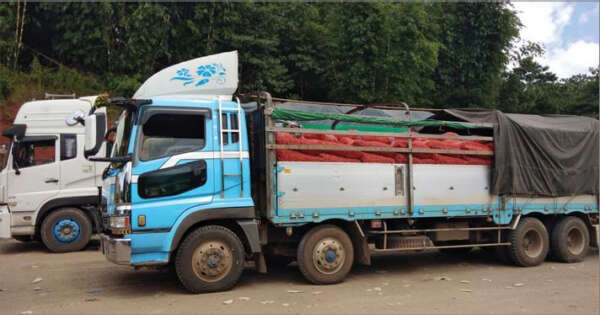 中缅边贸市场洋葱销量大增