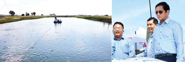 伊洛瓦底省将建日产千吨鱼饲料的工厂