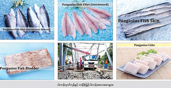 采用现代科学方法开展鱼虾养殖工作(二)