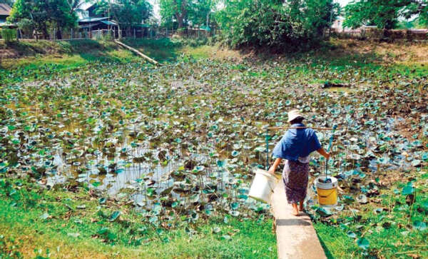 解决仰光河南岸民众缺水的老大难问题