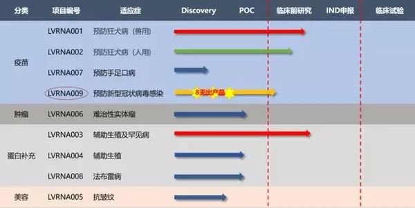 好消息：新冠病毒疫苗在动物体内产生抗体