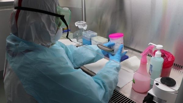 缅甸国家化验室每天检测疑似病例300多名