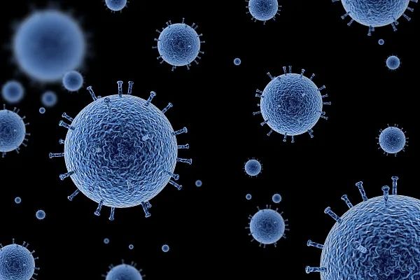 科学家驳斥“实验室泄漏说”：这条指责中国的途径走不通