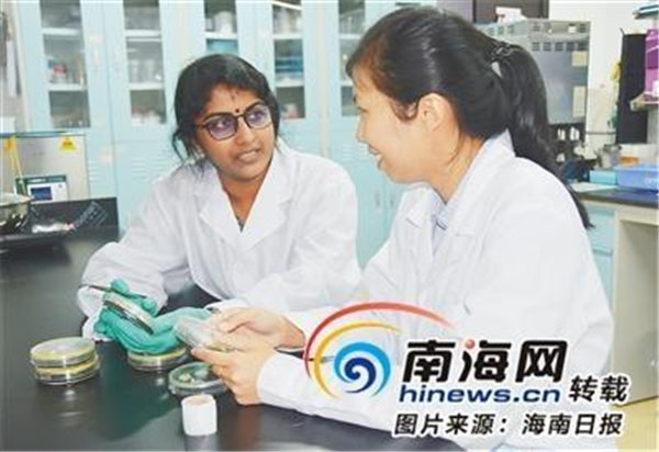 自贸观察·环球｜来自缅甸和印度的橡胶科研人员到中国热科院做博士后研究