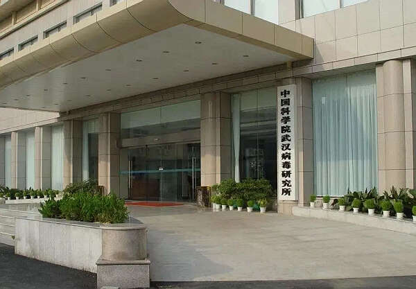 独家专访！抗疫期间，中科院武汉病毒所做了什么