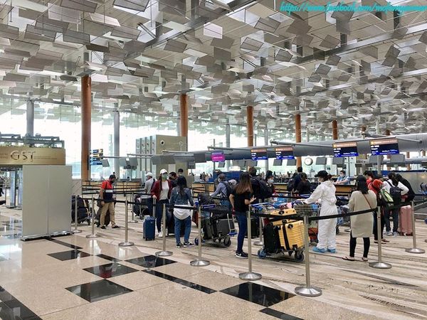 第三批145名在新加坡的缅甸公民今天下午返回缅甸