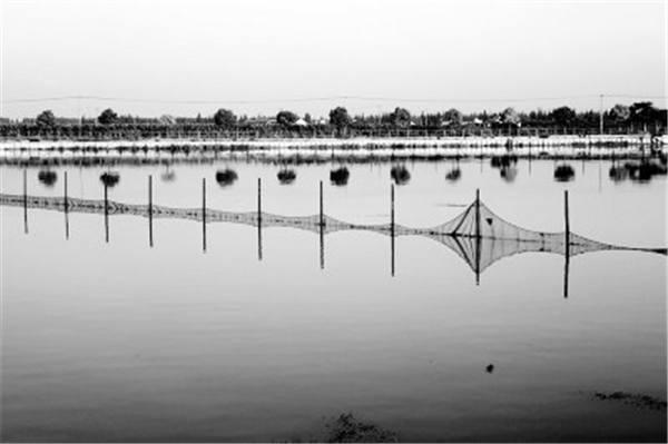 疫情严重打击缅甸水产品出口