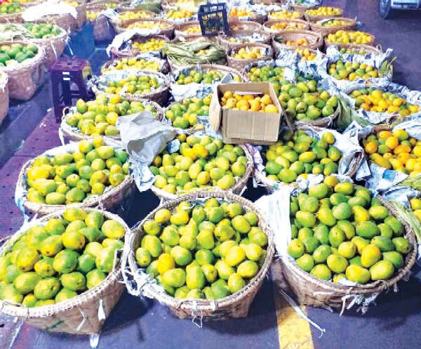 曼德勒市的芒果市场行情