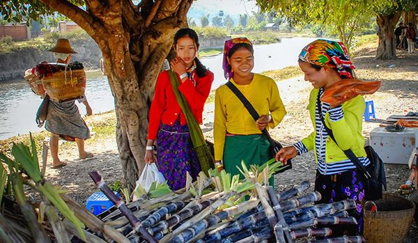 由于疫情有关限制 缅甸食糖市场价格低迷