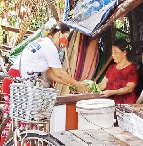 甘蒲萨银行收购捐赠的卷心菜每天都送达全国基层民众处