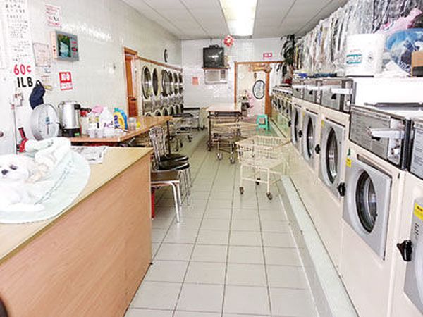 《似蜜》隨笔覆巢之下哪有完卵（了因）