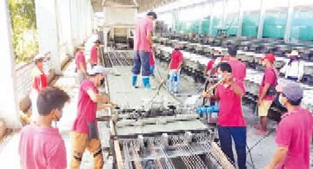 实皆省的枕木工厂1年生产20万根枕木