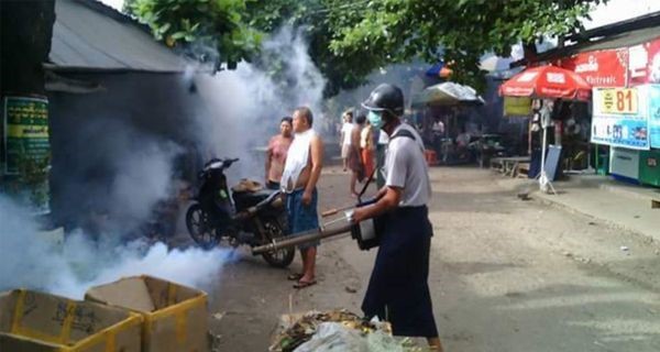 登革热肆虐，1480人感染11人死亡