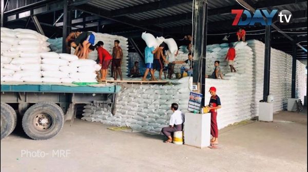 政府征购储备粮大米已超过34000吨