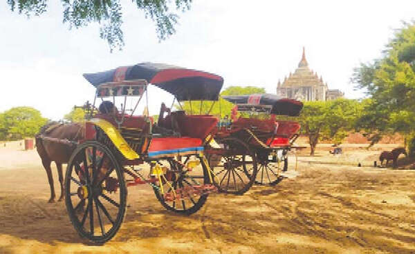 蒲甘—良吴地区马车夫们的生活情况