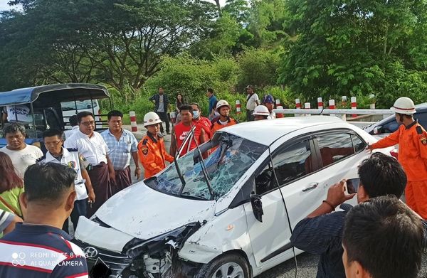 高速公路上闪避野狗酿成车祸