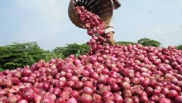 仰光洋葱市场情况及缅甸全国洋葱生产概况
