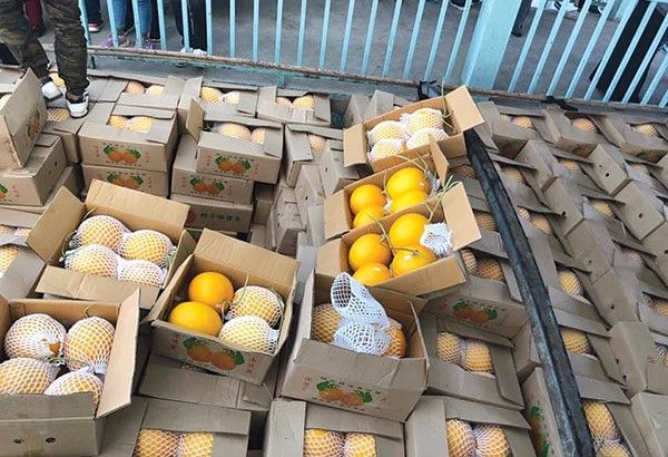 缅甸水果销售寻找国外新市场