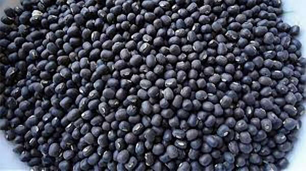 缅甸要求延期向印度出口40万吨黑麦豆至今未获回复