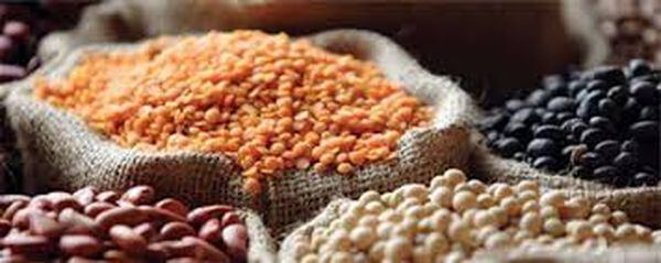 印度放宽豆类进口引发缅甸豆类市场的连锁反应