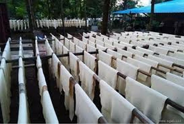 缅甸橡胶价钱近期回升