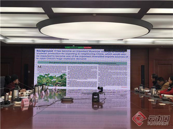 滇缅农业科技合作成果丰硕