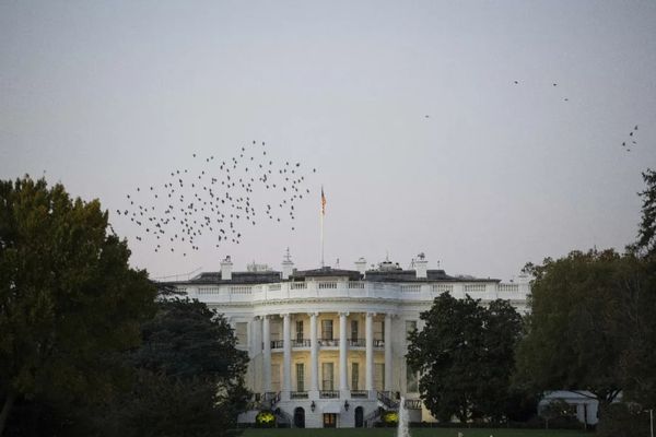 参考快评 | 未来中美关系怎么走？球在拜登一边！