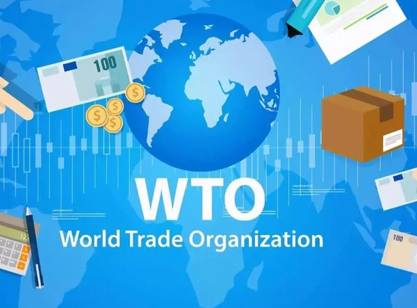 中国坚决反制，澳大利亚栽了大跟头，要将中国告上世贸组织！