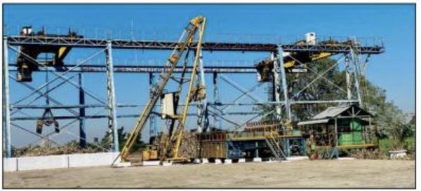 勃固省耶达谢第六糖厂将只购买4万吨甘蔗生产白糖