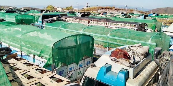 中缅边贸口岸的瓜果市场情况