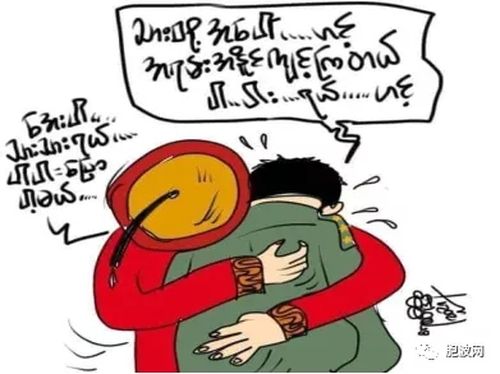 中国外长访缅后续