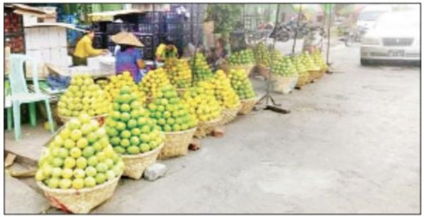 期望今年芒果季节到来时市场情况会良好