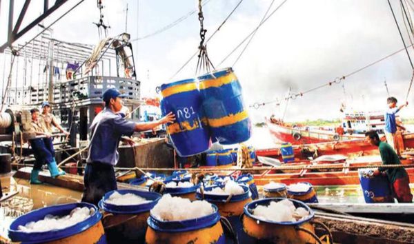 渔业局延长远洋捕鱼期