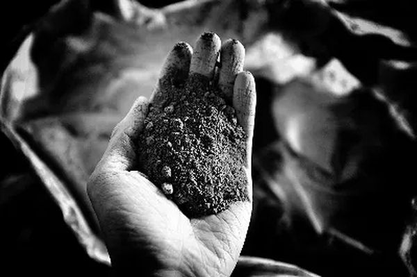 月壤研究成果新鲜出炉，中国却发现大问题，俄：都被西方骗了？