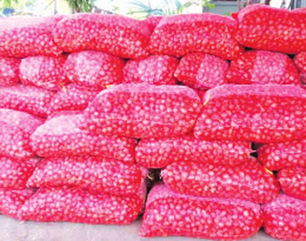 明巫市洋葱价格下跌导致农民亏本