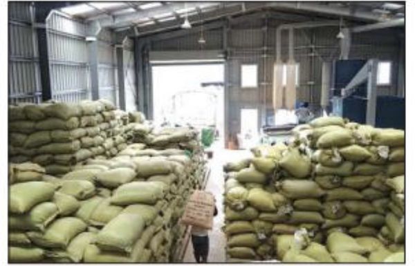 缅甸掸南咖啡香飘西欧国家