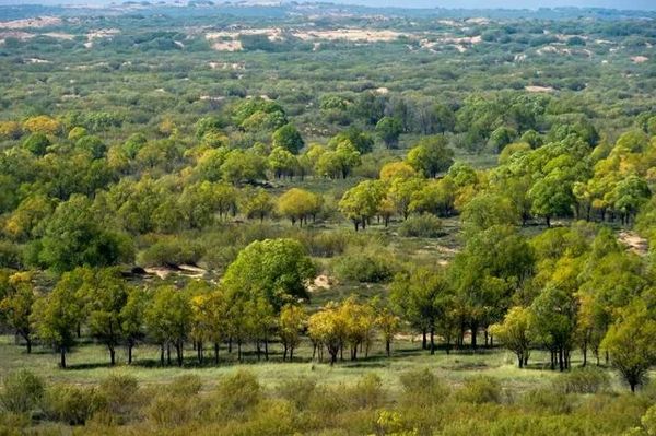 “鲜为人知的是，中国一直在建造新的长城”