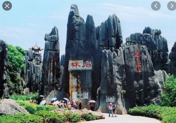 陆良华侨农场（苏顺路）